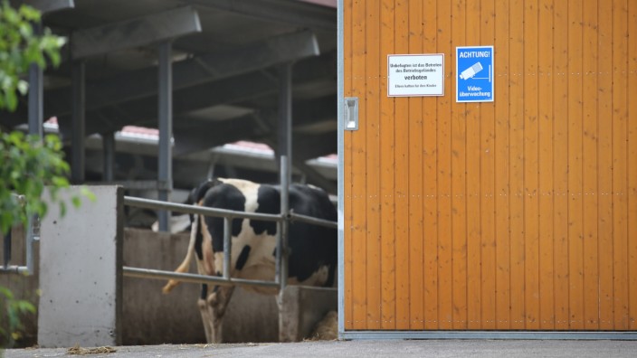 Staatsanwaltschaft durchsuchte einen Hof in Bad Grönenbach im Allgäu nach Vorwürfen der Tierquälerei.