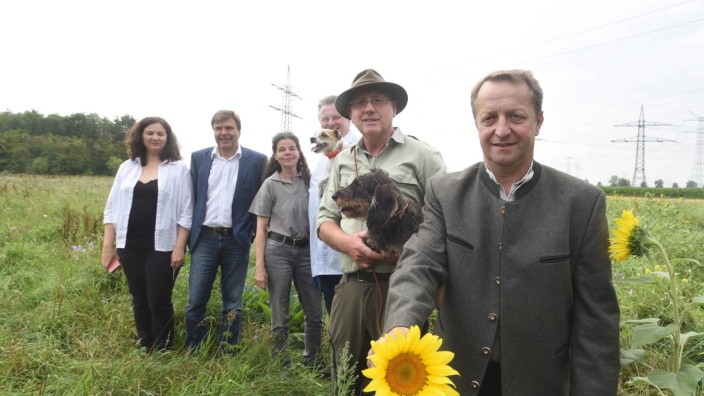 Neues Biotop : Eine Sonnenblume, zwei Hunde und sechs Aktive, allen voran Georg Bichler vom Jagdverband Dachau, stehen im satten Grün, in wilder Natur.