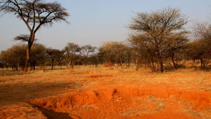 Wüstenbildung: Durch falsche Nutzung kann fruchtbares Land kippen und zur Wüste werden, wie dieses Gebiet in Namibia.