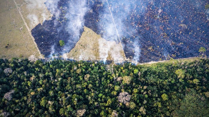 Waldbrände in Brasilien: Tief im Innern des Regenwalds, im Bundesstaat Rondônia, verschwindet schon länger Wald (das Archivfoto zeigt Brandrodung im Jahr 2015). Nun sind die Brände in Rondônia so schlimm wie noch nie.