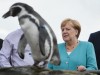 Bundeskanzlerin Merkel im Ozeaneum Stralsund