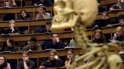 Bologna-Reform: Studieren im Auslaufmodell:  Das Angebot für die Altstudenten ist auf ein Minimum geschrumpft, Termine orientieren sich am Plan der Bachelorstudenten.