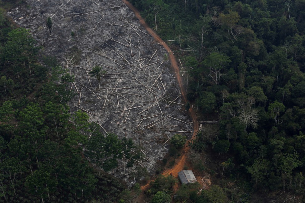 FILE PHOTO: An aerial view of a deforested plot of the Amazon at the Bom Futuro National Forest in Porto Velho