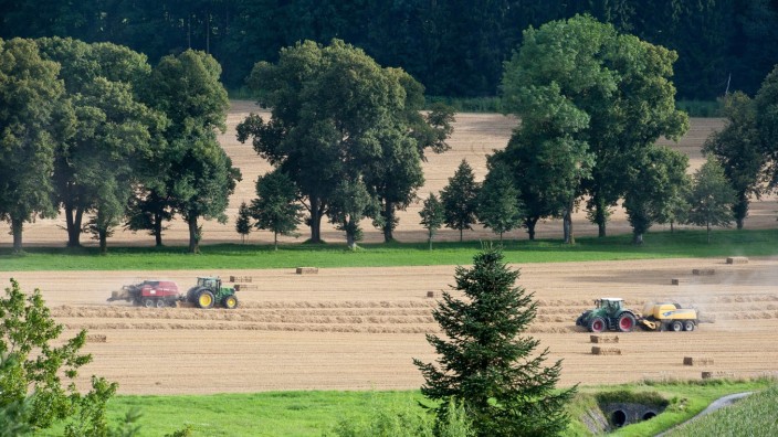 Landwirtschaft: Die Getreideernte im Landkreis - hier im Ebersberger Osten - ist weitgehend abgeschlossen. Im Vergleich zum Dürrejahr 2018 sind die Erträge in diesem Jahr einigermaßen gut ausgefallen.