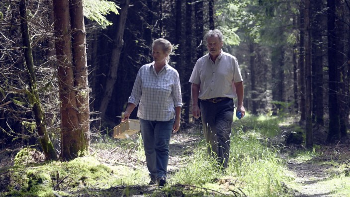 Mit Körbchen und Pilzmesser ausgestattet durchstreifen Hildegard Oblegor und ihr Mann Fritz Anzinger den Wald in Aying.