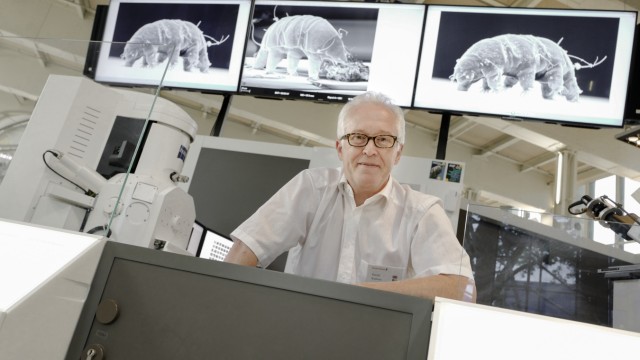"Sie sind überall": Seit fünf Jahren macht Harald Waßmer die mikroskopischen Vorführungen im Deutschen Museum und zeigt dabei auch Bärtierchen.
