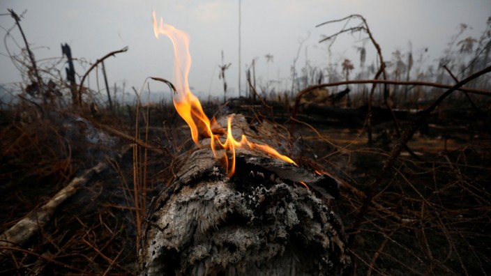 A tract of Amazon jungle is seen after a fire in Boca do Acre