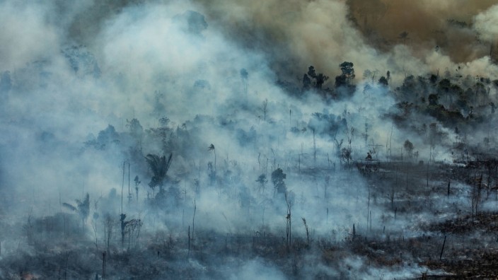 Brände im Amazonas