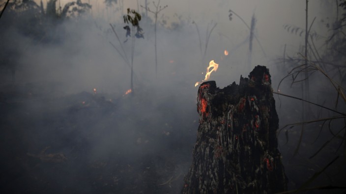 Brasilien - Brände im Amazonas