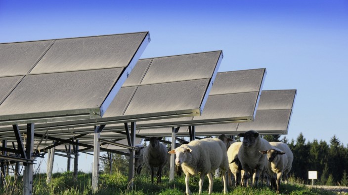 Energieversorger will expandieren: Beim Eberwerk würde man gerne mehr Solarstrom ins Sortiment nehmen und sucht Flächen für Photovoltaikanlagen, wie jene auf der Schafweide.