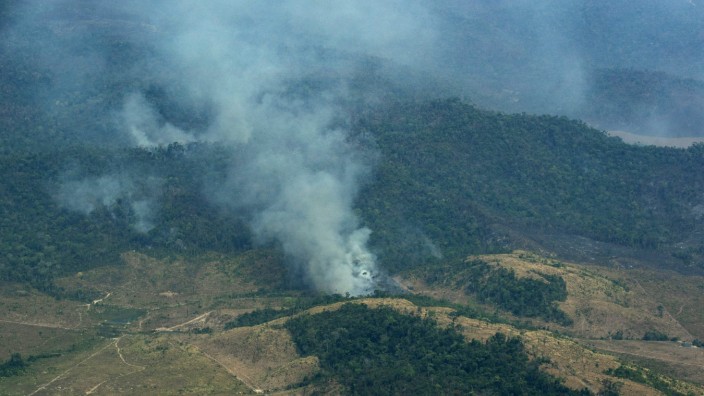 Waldbrände im Amazonas