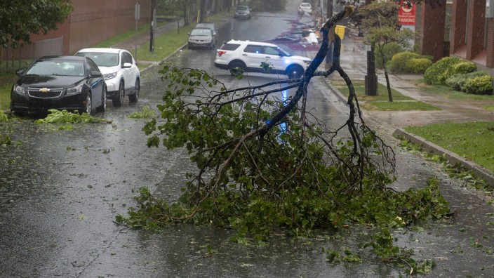 Hurrikan Dorian: Umgeknickte Bäume blocken die Straßen im kanadischen Halifax.