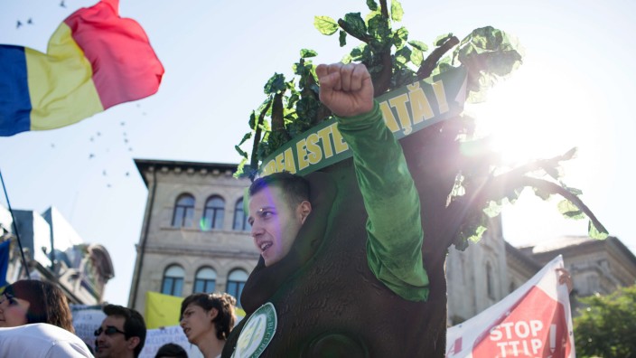 Wegen illegalen Holzeinschlages: Demonstranten gehen in Bukarest gegen die Abholzung auf die Straße.
