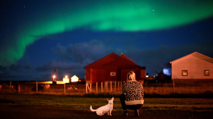 Mysteriöse Todesfälle: Norwegische Hundebesitzer sind in Sorge: Behörden raten, die Tiere an die Leine zu nehmen und das gegenseitige Beschnüffeln zu unterbinden.
