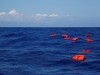 Flüchtlinge im Mittelmeer - Rettungsübung der NGO "Sea-Eye"