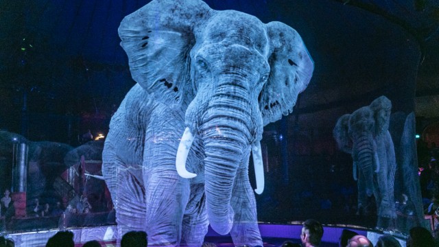 Elefanten als Hologramme: Der Elefant als Hologramm: Ein 15-köpfiges Team von 3-D-Grafikern arbeitete zwei Jahre an der Holografietechnik der Show.
