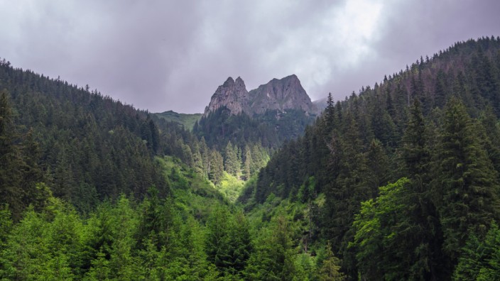 Nationalparks: Bald ein europäisches Yellowstone? Die Făgăraș-Berge sind Teil des geplanten Schutzgebietes, das sich über 250.000 Hektar erstrecken soll.