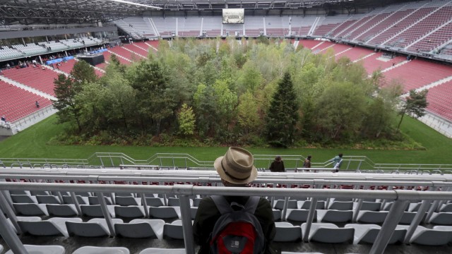 Waldinstallation im Fußballstadion Klagenfurt eröffnet