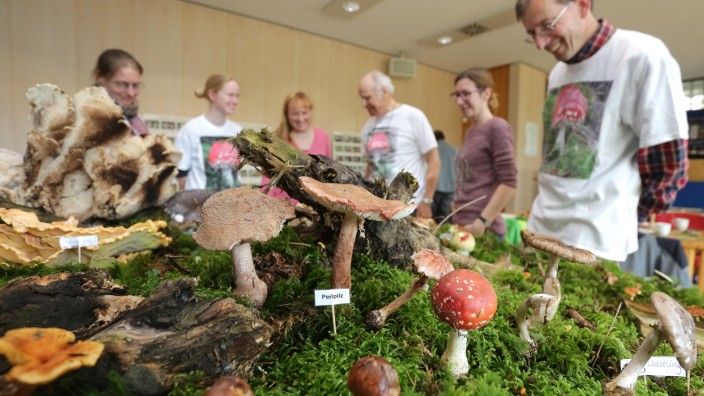Pilzausstellung in Freising: Pilzfans in jedem Alter gaben sich am Wochenende in der Landesanstalt für Landwirtschaft und Forst die Klinke in die Hand.