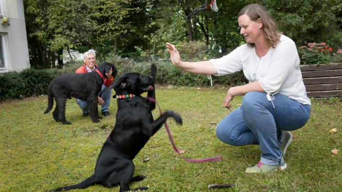 Tierlernstatt der Arbeiterwohlfahrt/Anderwerk, Schwanseestraße 16. In dem Beschäftigungsprojekt  werden künftig Autisten unter Anleitung von Hundetrainern und Sozialpädagogen  eine Hundetagesbetreuung bieten.
