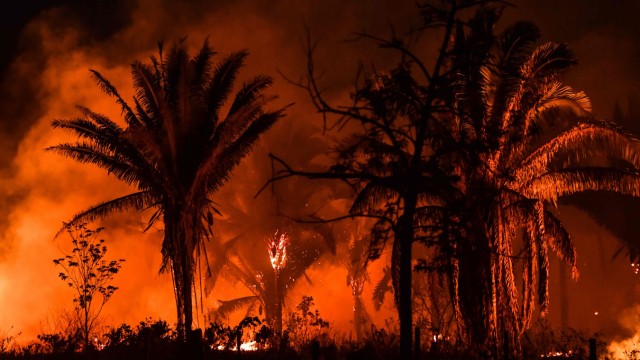 Lateinamerikatag: Waldbrände in Brasilien: Viele der Feuer sollen vorsätzlich gelegt worden sein.