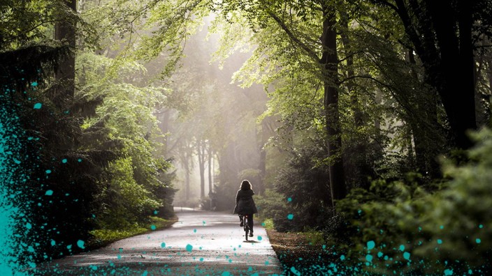 Ein Radfahrer mit Licht faehrt bei Nebel durch den Tiergarten in Berlin 17 05 2019 Berlin Deutsch