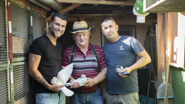 Verein mit Nachwuchssorgen: Babak Deljou (links) und Sefcet Ahmetovic (rechts) haben Besuch von ihrem Schrebergarten-Nachbarn Werner Bitterwolf. Der hält lieber Hühner.