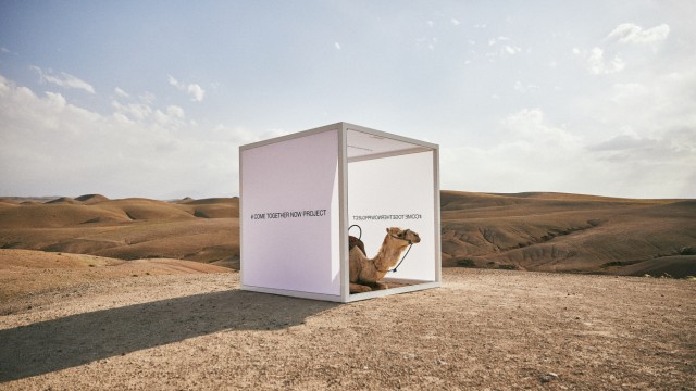 Fotoprojekt: Egal ob Mensch oder Tier: Mit seinem Cube schafft Meyer einen Raum, in dem der Besucher dem Alltag entrissen wird und für einen Augenblick zur Ruhe kommen kann.