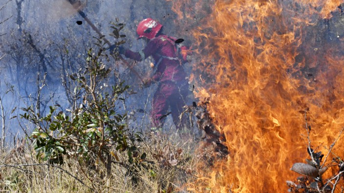 Interview am Morgen: Brandrodungen: In Bolivien sollen dieses Jahr mehr als fünf Millionen Hektar Trockenwälder verbrannt sein.