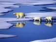 Die Arktis - riesig, eiskalt und reich an Bodenschätzen