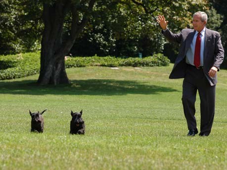 Die Tiere im Weißen Haus, First Pets