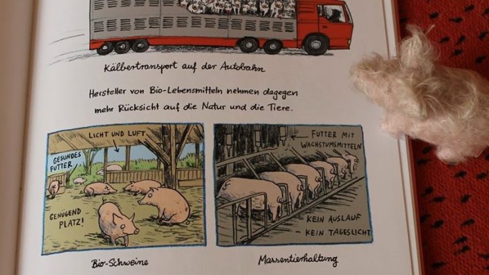 Ein Anruf bei...: Im Kinderbuch "Alles lecker!" werden Unterschiede in der Schweinehaltung gezeigt. Einigen Tierzüchtern schmeckt das gar nicht.