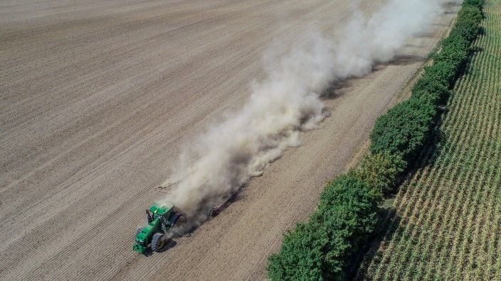 Trockenheit: Nach dem extrem trockenen März fürchtet die Landwirtschaft in Brandenburg bereits um das Erntejahr 2022.
