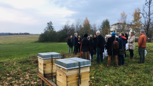 Unternehmen gegen den Klimawandel: Auf dem PTC-Gelände stehen Bienenstöcke.