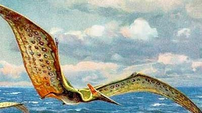 Serie: Mythen von Monstern (9): Ein Pteranodon, dargestellt von  Heinrich Harder 1916. Fliegen solche Tiere über den Sümpfen Afrikas?