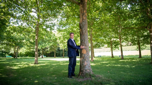 Markus Söder mit Baum
