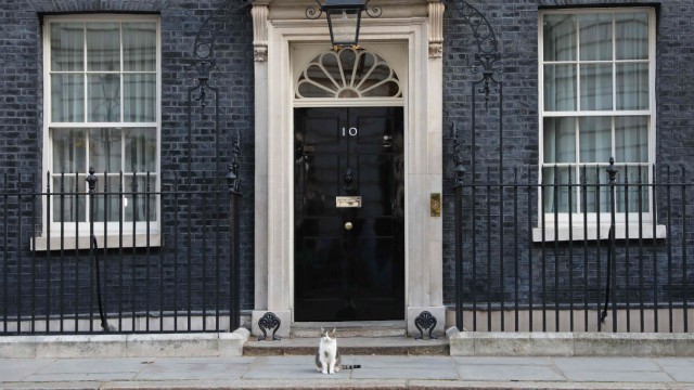 Brexit: Wo Churchill regierte: Downing Street No. 10 in London, Sitz des britischen Premierministers. Davor: Larry, dauerhafter Bewohner der No. 10 als "Chief Mouser to the Cabinet Office", die amtliche Chefmausekatze. Deren Posten gibt es seit Henry VIII. im 16. Jahrhundert. Ob Boris Johnson zumindest diese Tradition der britischen Demokratie respektiert, ist unbekannt.