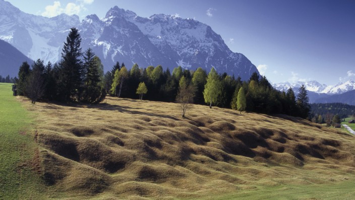Landwirtschaft: Die markanten Buckelwiesen in den Bergen rund um Garmisch-Partenkirchen sind wichtiger Bestandteil der laufenden Welterbe-Bewerbung.