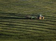 Landwirtschaft: Grasernte in Bayern