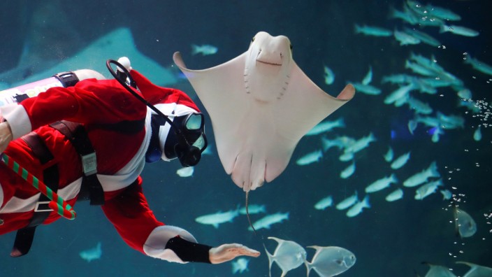 A diver dressed as Santa Claus performs during a promotional event for Christmas in Seoul