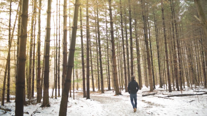Ein Wanderer geht durch einen winterlichen Wald.