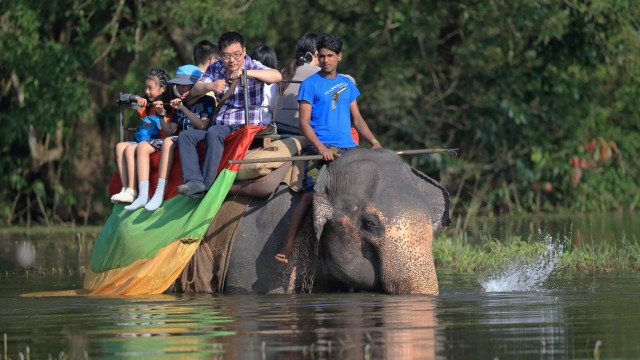 Elefanten: Touristen in Sri Lanka lieben das Reiten auf Elefanten. Dabei ist eine humane Zähmung der Tiere kaum möglich.