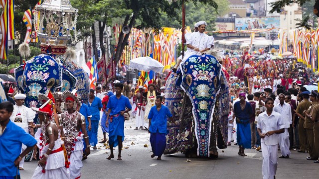 Elefanten: Tempelelefanten bei der Esala-Perahera-Parade in Kandy, belastet mit Aufbauten und schweren Schmuckgewändern.