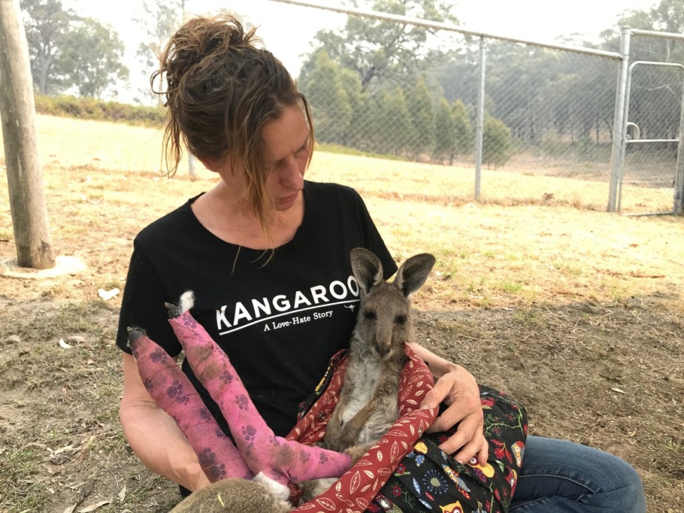 WIRES Volunteer and carer Tracy Dodd holds a kangaroo with burnt feet pads after being rescued from bushfires in Australia's Blue Mountains area