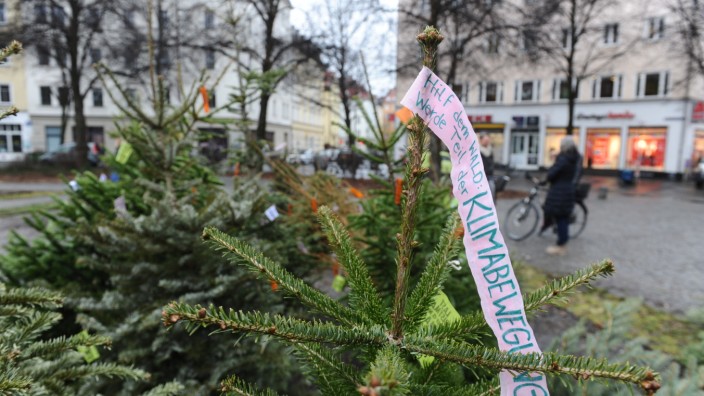 Haidhausen: Auf dem Weißenburger Platz haben Aktivistinnen und Aktivisten von "Extinction Rebellion" weggeworfene Christbäume wieder aufgestellt.