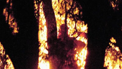 Anwohner auf der Flucht: Resignation: Ein Feuerwehrmann im aussichslosen Kampf gegen die Buschfeuer in Queensland.