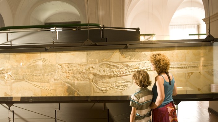 Fossilien im Jura-Museum Eichstätt.
