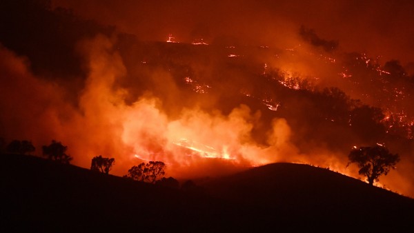 NSW On Severe Bushfire Alert As Weather Conditions Worsen