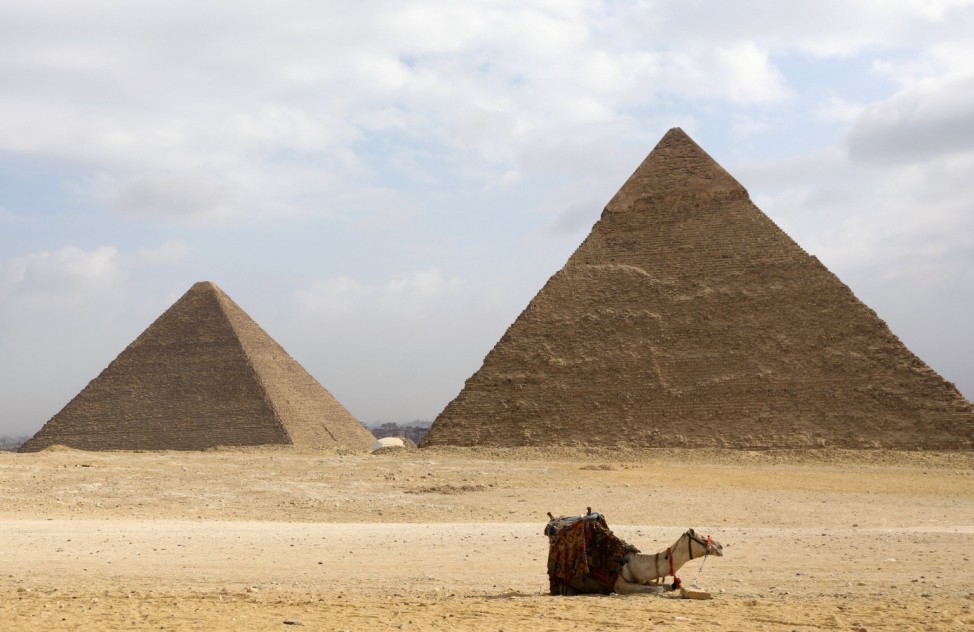 A camel is seen in front of the Great Pyramids in Giza