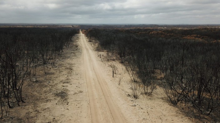 Australien: Das Feuer hinterlässt verbrannte Landschaften. Hier auf Kangaroo Island an der Südküste Australiens.